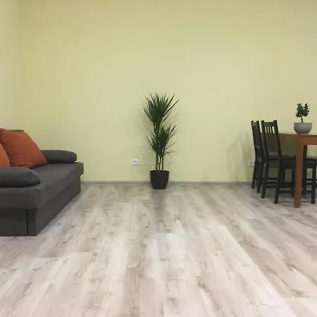 Fully Renovated In A Historical Building Bratislava
